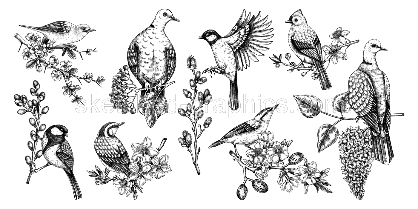 Spring garden background. Vintage seamless patter with birds, flowers, leaves and blooming tree branches. Hand drawn almond, willow, rowan, willow, cherry blossom floral sketches for prints or textile Illustration